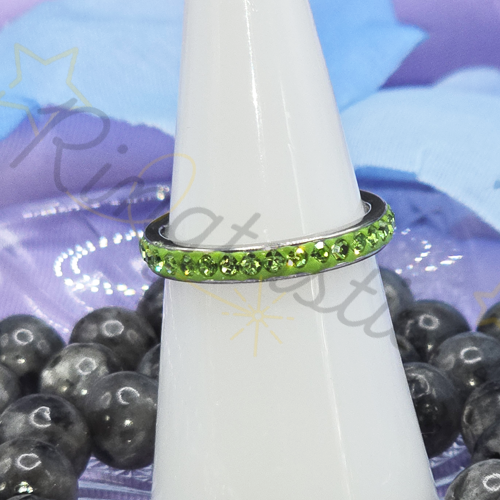 Dana - Stainless Steel Eternity Ring